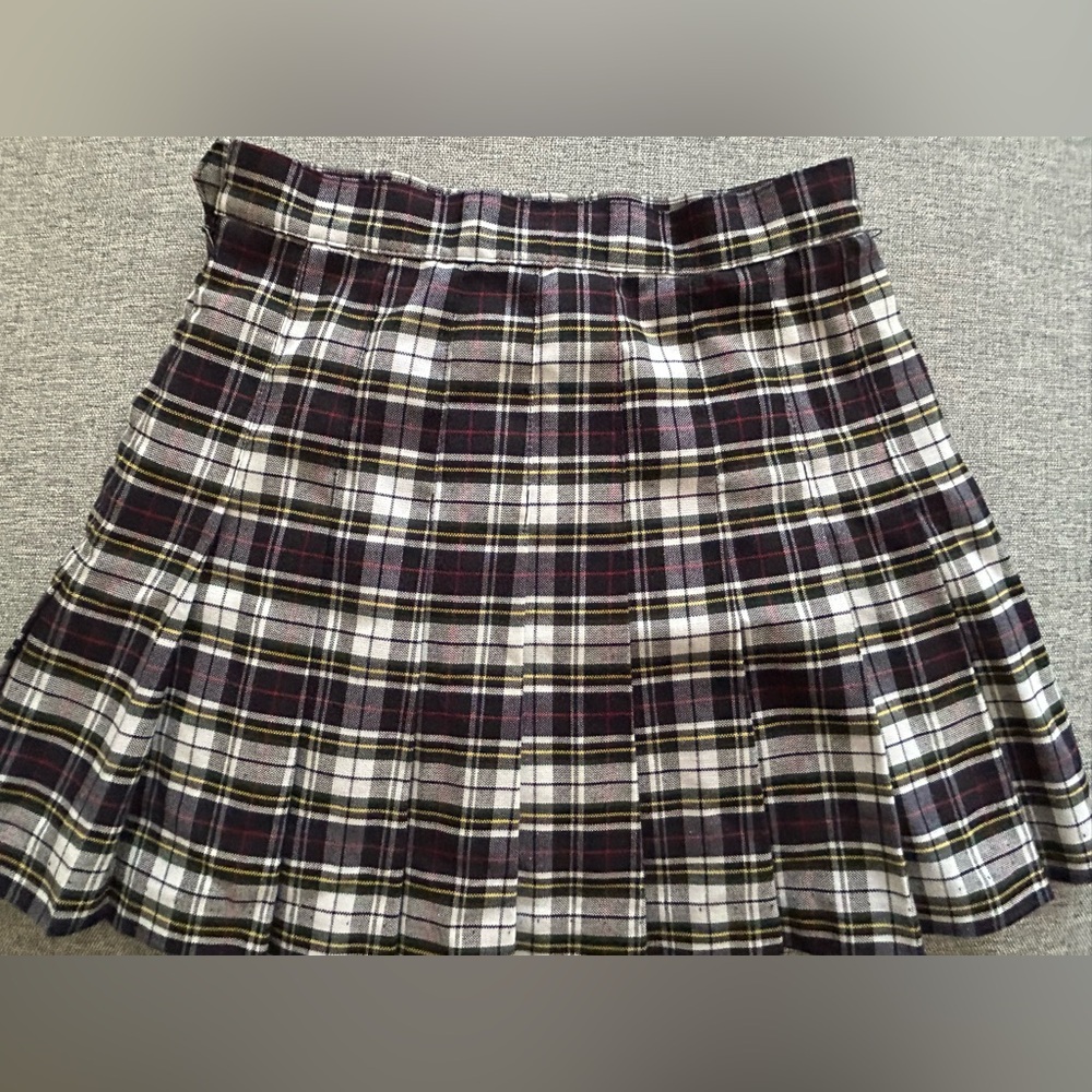 American Apparel pleated skirt